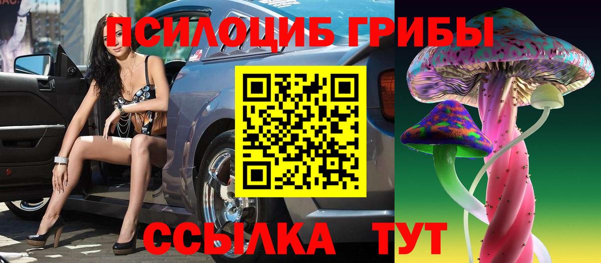 Псилоцибиновые грибы прущие грибы Волхов